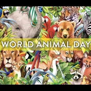 world animal day